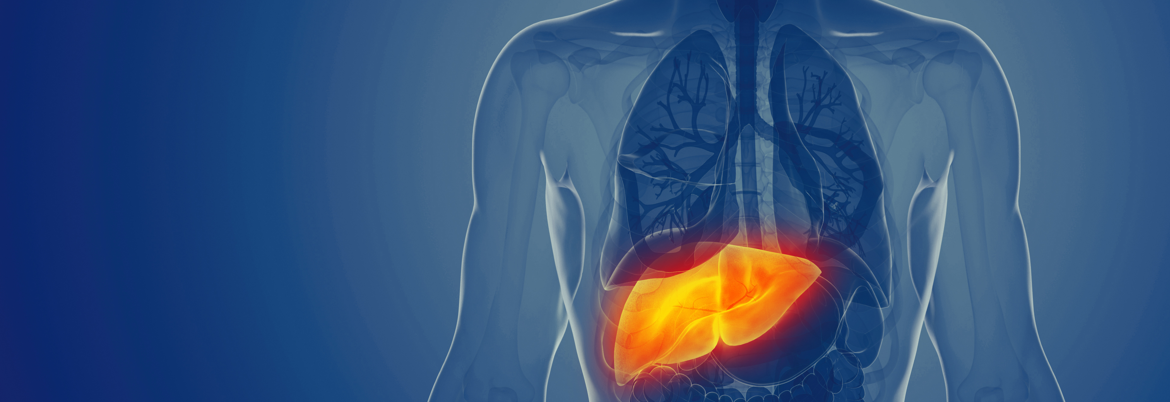 EBGCR Encore Borland Groover Clinical Research for Fatty Liver